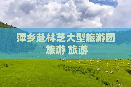 萍乡去西藏林芝大型旅游团