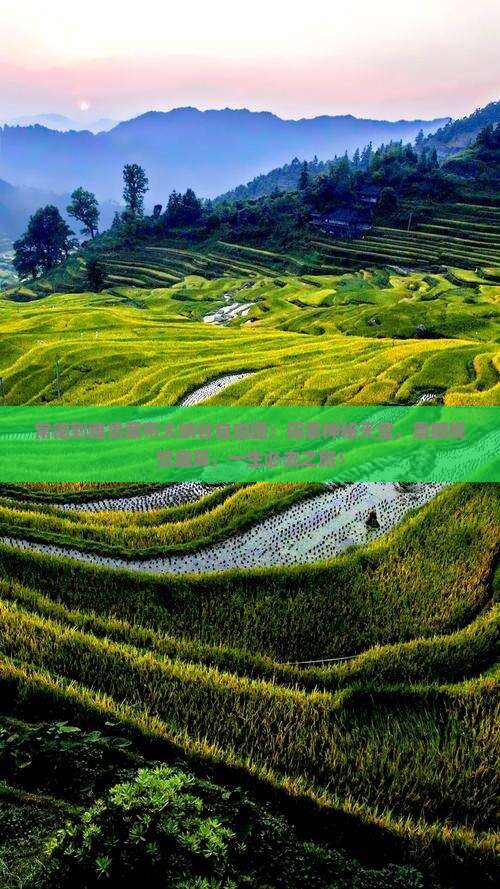 常德到西藏雅鲁藏布大峡谷自由团