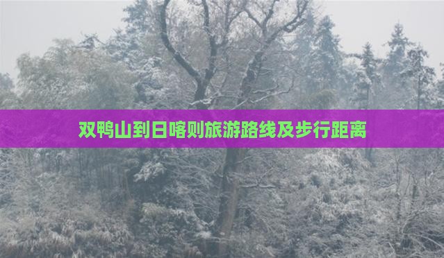双鸭山到西藏日喀则旅游