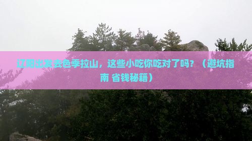 辽阳去西藏色季拉山旅游小吃