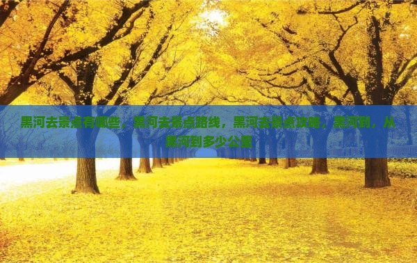 黑河去西藏景点