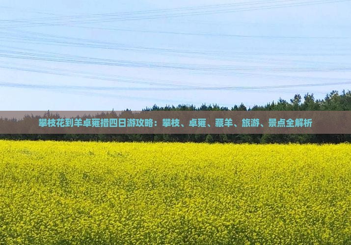 攀枝花到西藏羊卓雍措四日游