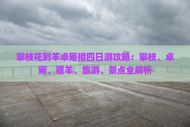 攀枝花到西藏羊卓雍措四日游
