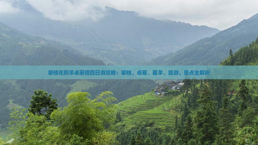 攀枝花到西藏羊卓雍措四日游