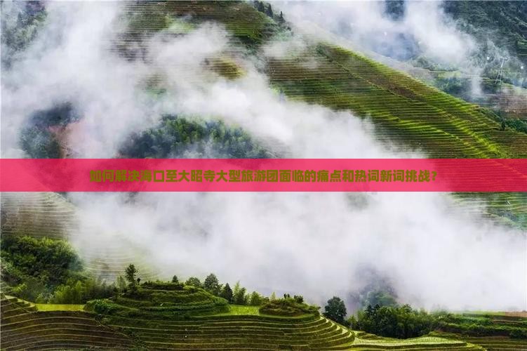 如何解决海口至大昭寺大型旅游团面临的痛点和热词新词挑战？