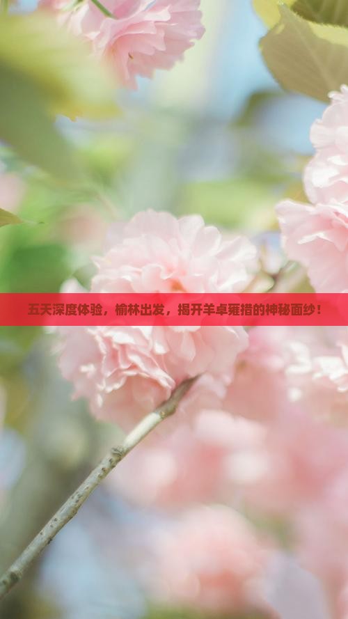 五天深度体验，榆林出发，揭开羊卓雍措的神秘面纱！