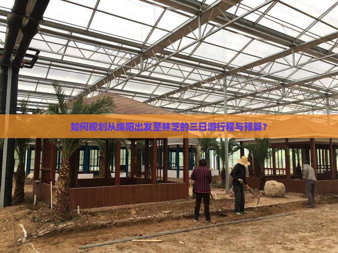 如何规划从绵阳出发至林芝的三日游行程与预算？