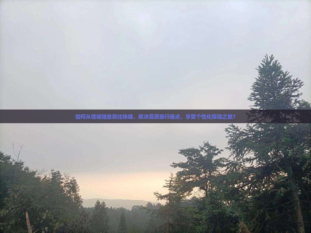 如何从塔城独自前往珠峰，解决高原旅行痛点，享受个性化探险之旅？