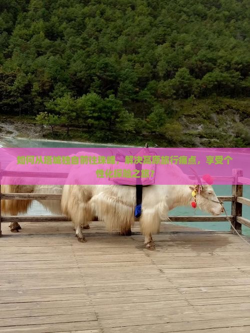 如何从塔城独自前往珠峰，解决高原旅行痛点，享受个性化探险之旅？