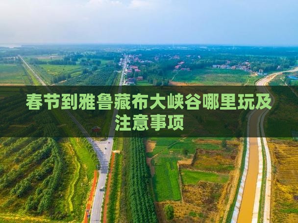 春节到雅鲁藏布大峡谷哪里玩及注意事项