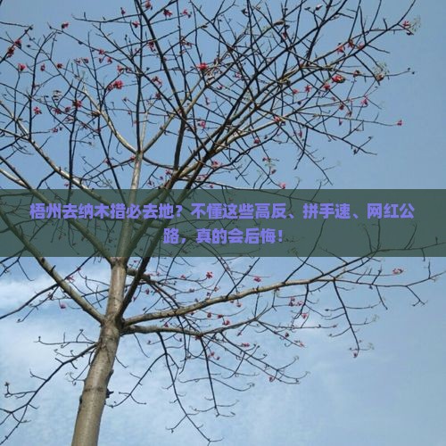 梧州去纳木措必去地？不懂这些高反、拼手速、网红公路，真的会后悔！