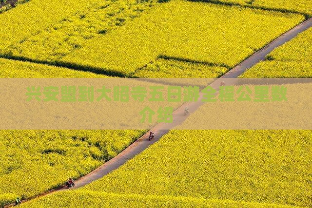 兴安盟到大昭寺五日游全程公里数介绍