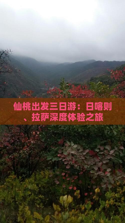 仙桃出发三日游：日喀则、拉萨深度体验之旅