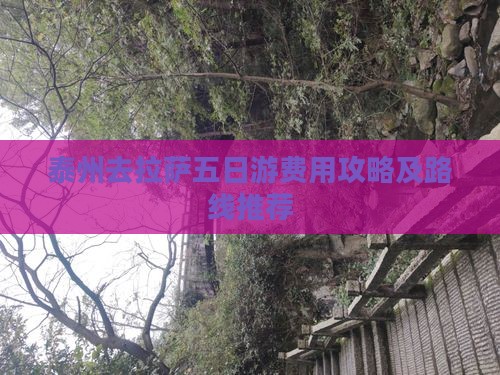 泰州去拉萨五日游费用攻略及路线推荐