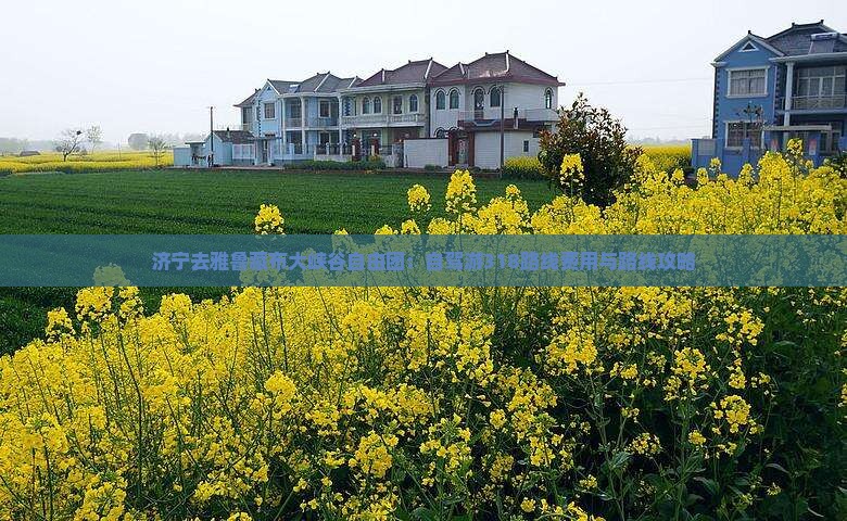 济宁去雅鲁藏布大峡谷自由团：自驾游318路线费用与路线攻略
