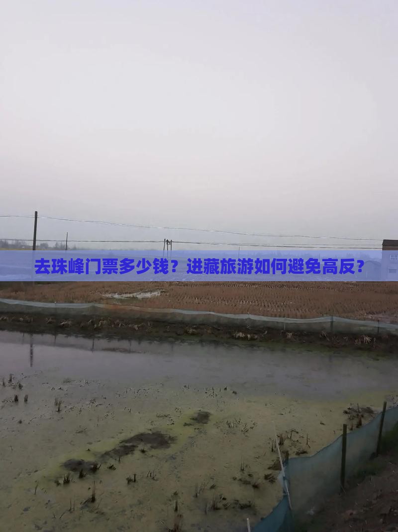 去珠峰门票多少钱？进藏旅游如何避免高反？