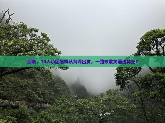 朋友，10人小团怎样从菏泽出发，一路欢歌笑语进林芝？