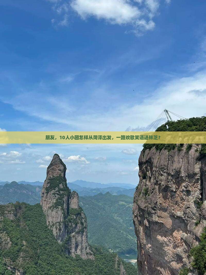 朋友，10人小团怎样从菏泽出发，一路欢歌笑语进林芝？