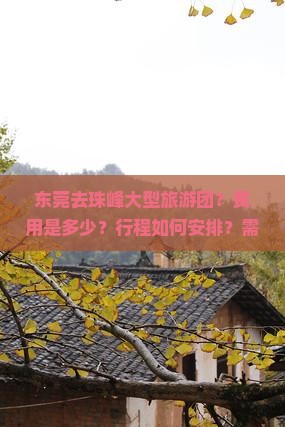 东莞去珠峰大型旅游团？费用是多少？行程如何安排？需要注意什么？