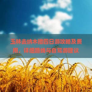 玉林去纳木措四日游攻略及费用，详细路线与自驾游建议