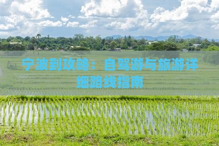 宁波到攻略：自驾游与旅游详细路线指南