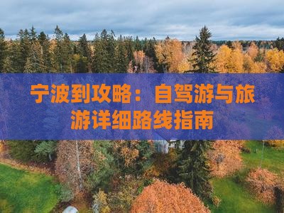 宁波到攻略：自驾游与旅游详细路线指南