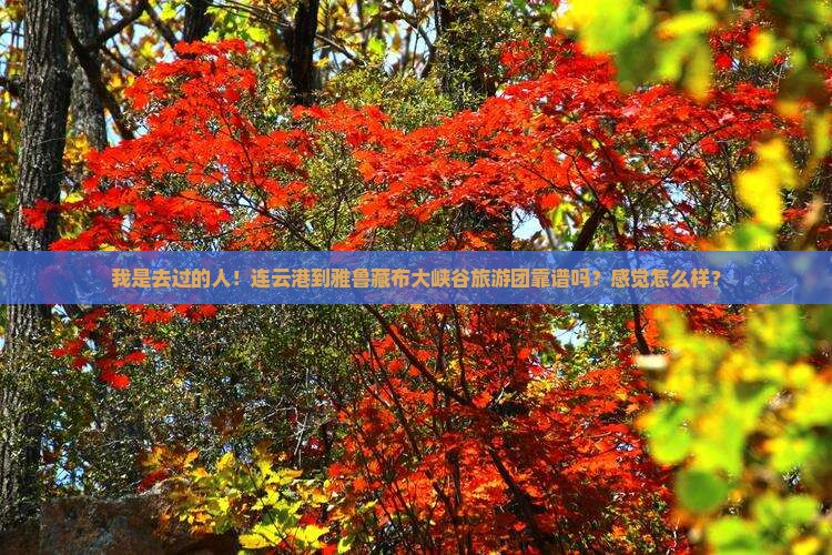 我是去过的人！连云港到雅鲁藏布大峡谷旅游团靠谱吗？感觉怎么样？