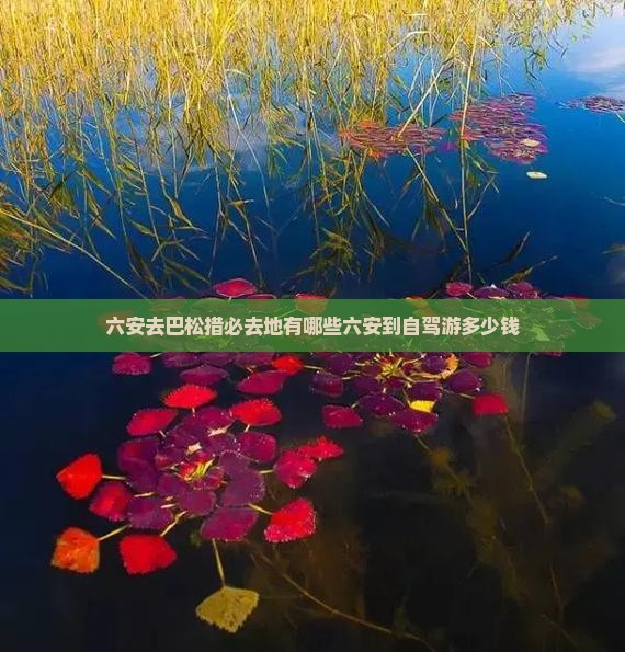 六安去巴松措必去地有哪些六安到自驾游多少钱