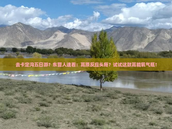 去卡定沟五日游？东营人速看：高原反应头疼？试试这款高能氧气瓶！