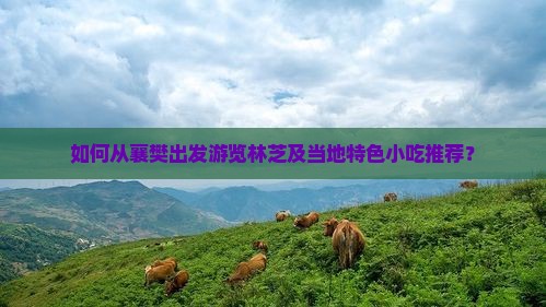 如何从襄樊出发游览林芝及当地特色小吃推荐？