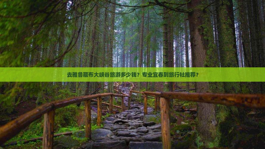 去雅鲁藏布大峡谷旅游多少钱？专业宜春到旅行社推荐？