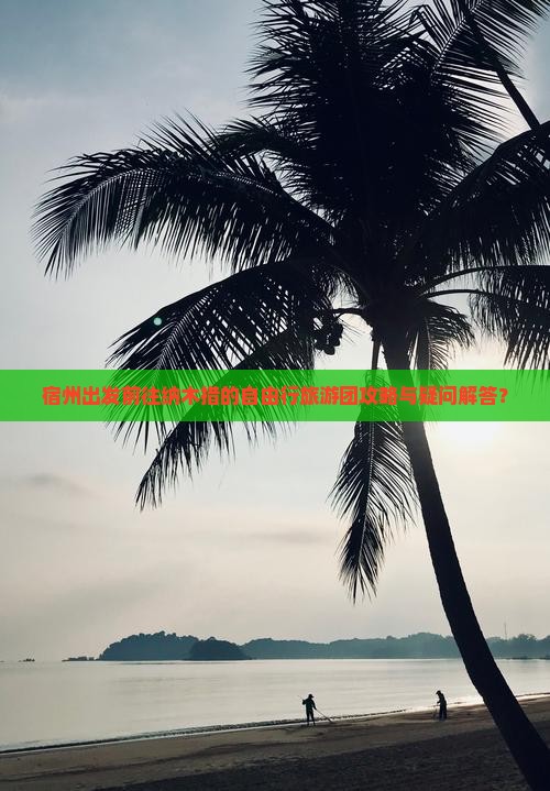 宿州出发前往纳木措的自由行旅游团攻略与疑问解答？