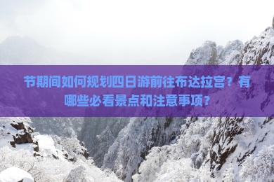 节期间如何规划四日游前往布达拉宫？有哪些必看景点和注意事项？