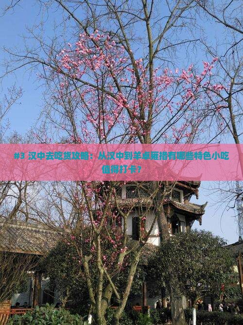 #3 汉中去吃货攻略:从汉中到羊卓雍措有哪些特色小吃值得打卡? #3 汉中去吃货攻略:从汉中到羊卓雍措有哪些特色小吃值得打卡?