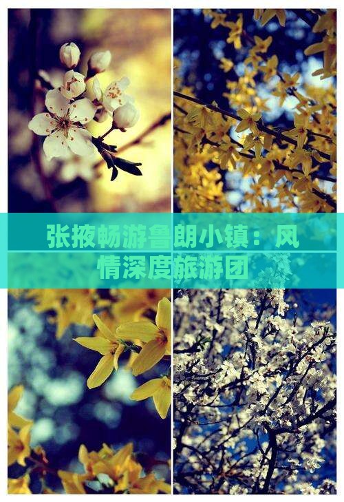张掖畅游鲁朗小镇：风情深度旅游团