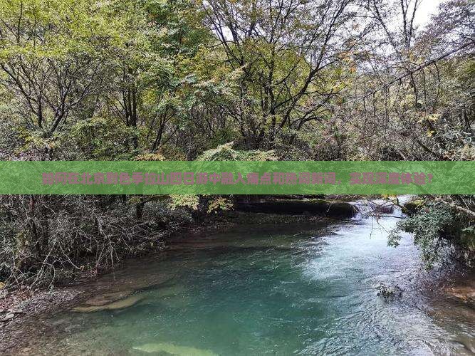 如何在北京到色季拉山四日游中融入痛点和热词新词，实现深度体验？