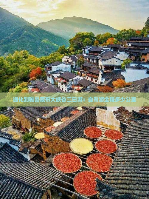 通化到雅鲁藏布大峡谷二日游：自驾游全程多少公里