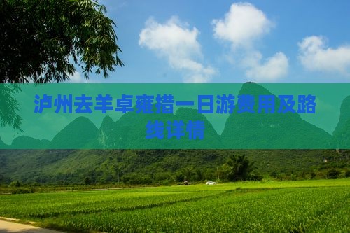 泸州去羊卓雍措一日游费用及路线详情