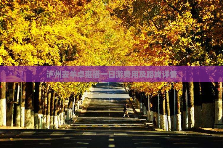 泸州去羊卓雍措一日游费用及路线详情