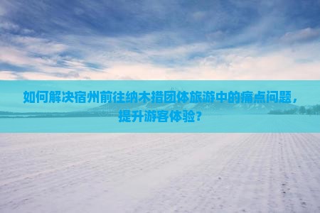 如何解决宿州前往纳木措团体旅游中的痛点问题，提升游客体验？