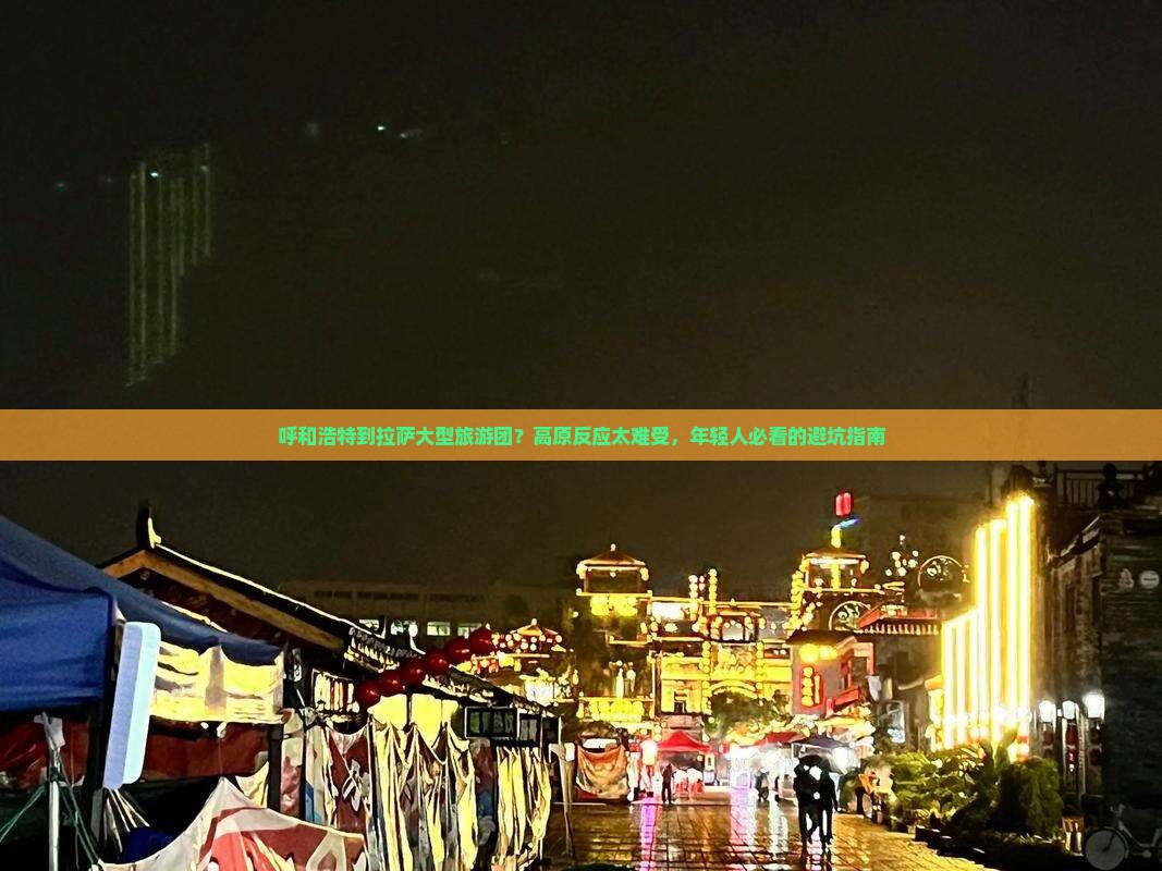 呼和浩特到拉萨大型旅游团？高原反应太难受，年轻人必看的避坑指南