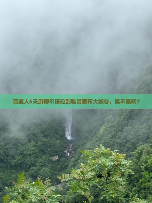 普通人5天游博尔塔拉到雅鲁藏布大峡谷，累不累啊？