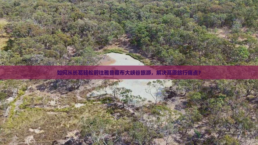 如何从长葛轻松前往雅鲁藏布大峡谷旅游，解决高原旅行痛点？