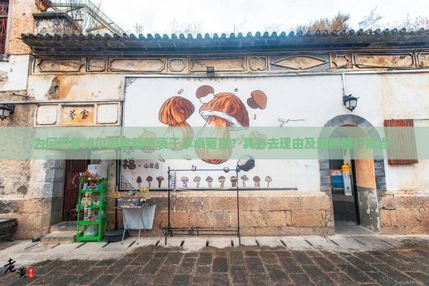 为何巴彦淖尔游客都热衷于羊卓雍措？其必去理由及最新旅行痛点！