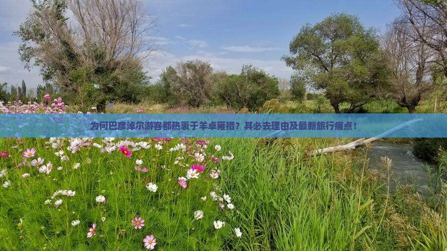 为何巴彦淖尔游客都热衷于羊卓雍措？其必去理由及最新旅行痛点！