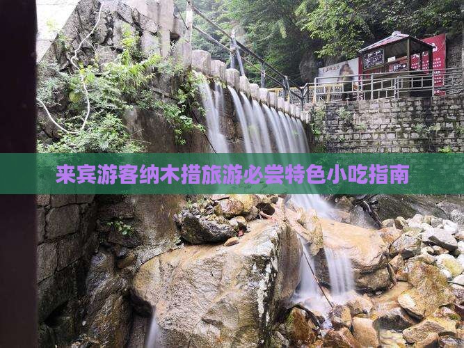 来宾游客纳木措旅游必尝特色小吃指南