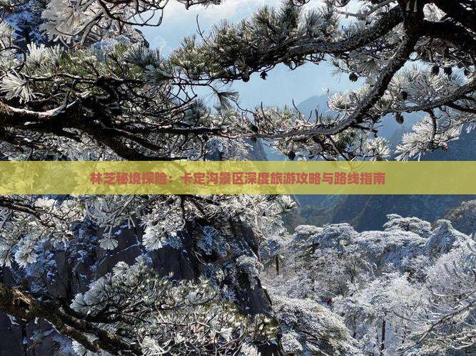 林芝秘境探险：卡定沟景区深度旅游攻略与路线指南