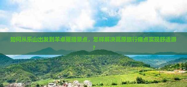 如何从乐山出发到羊卓雍措景点，怎样解决高原旅行痛点实现舒适游？