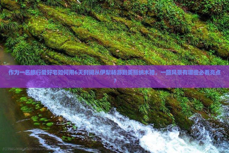作为一名旅行爱好宅如何用6天时间从伊犁畅游到美丽纳木措，一路风景有哪些必看亮点？