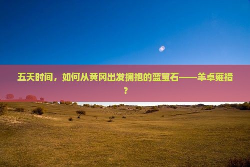 五天时间，如何从黄冈出发拥抱的蓝宝石——羊卓雍措？